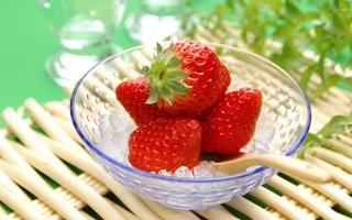 腓特烈斯塔 VS 博多格林特